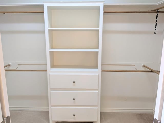 spacious closet featuring carpet flooring