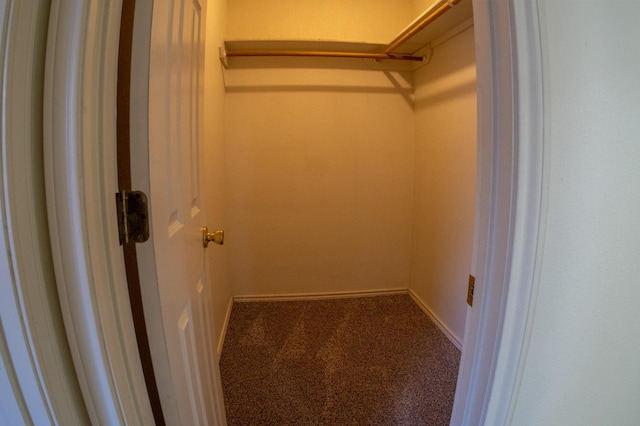 spacious closet with carpet floors