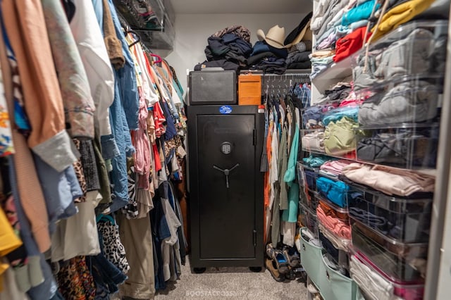 spacious closet with light colored carpet