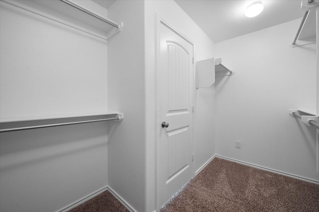 walk in closet with carpet flooring