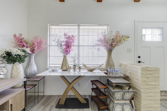 dining room with light hardwood / wood-style flooring