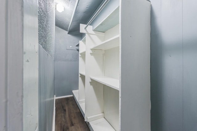 spacious closet with hardwood / wood-style flooring