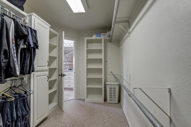 walk in closet featuring light colored carpet