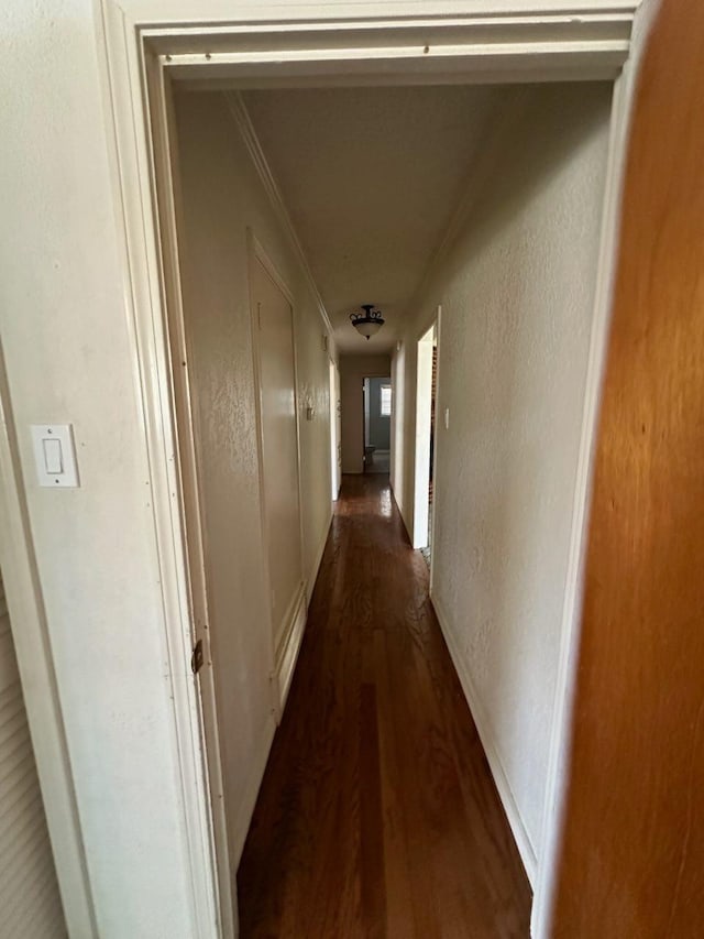 hallway with crown molding and dark wood-type flooring