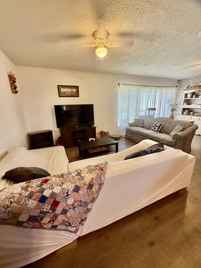 1567 Fm 1760, Muleshoe, TX 79347 - photo 6
