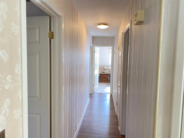 hall featuring dark hardwood / wood-style flooring