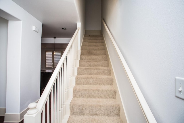 staircase featuring carpet floors