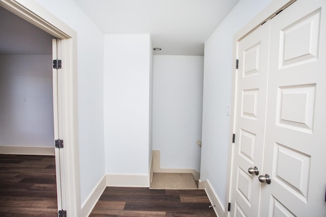 bathroom featuring hardwood / wood-style flooring