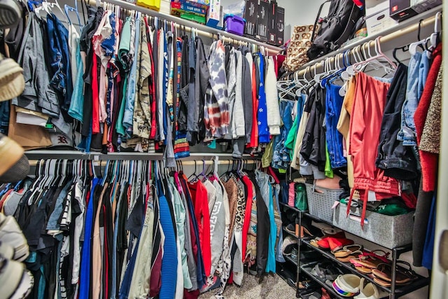 spacious closet featuring carpet floors