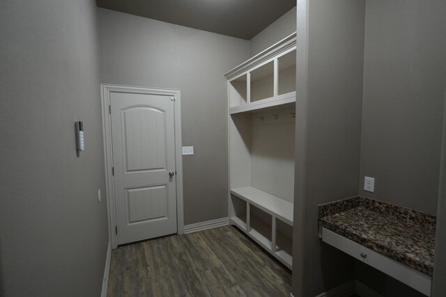 mudroom with dark wood-type flooring