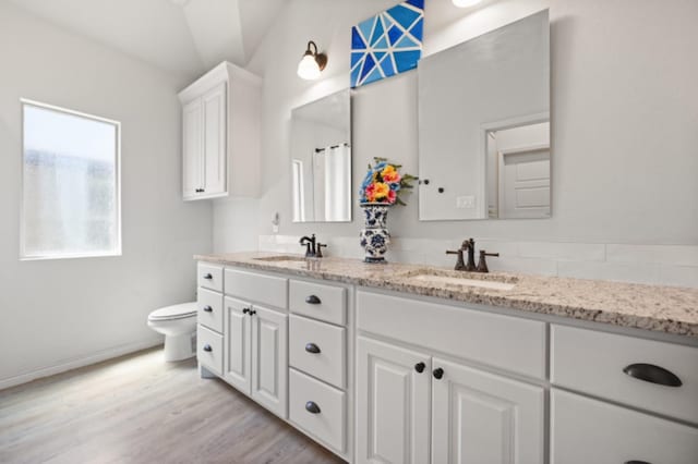 bathroom with vanity, hardwood / wood-style floors, and toilet