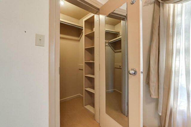 walk in closet with light colored carpet