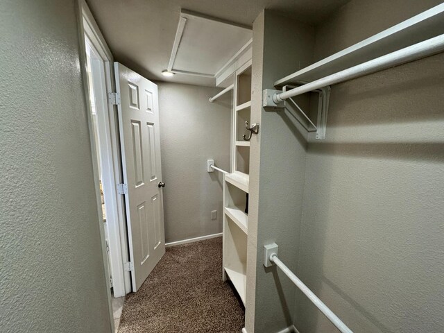 spacious closet featuring dark colored carpet