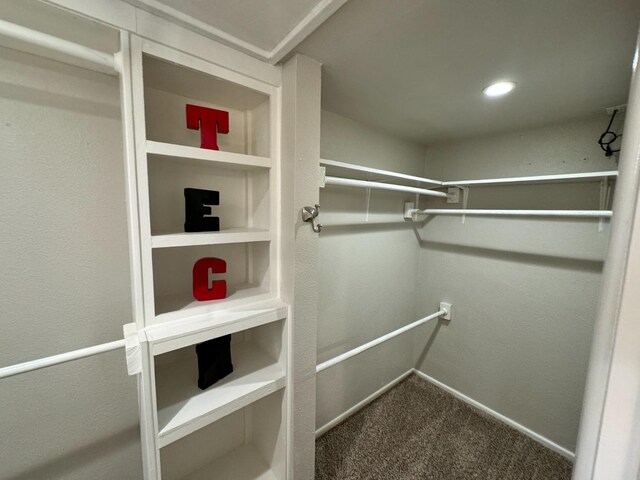 spacious closet featuring carpet floors