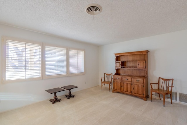 sitting room featuring light carpet and a textured ceiling