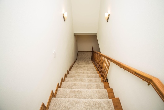 stairway featuring carpet floors