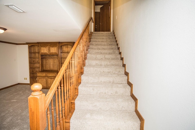 staircase with carpet flooring