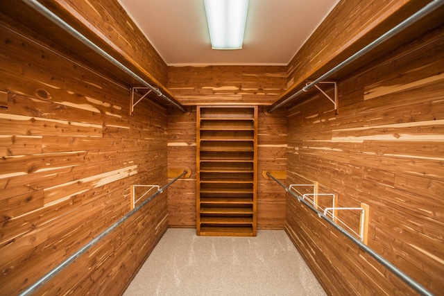 walk in closet with light colored carpet