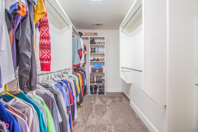 spacious closet with carpet