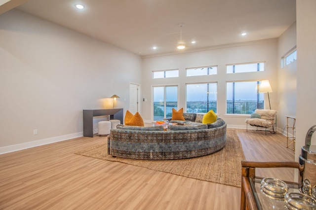 living room featuring light hardwood / wood-style floors and a high ceiling