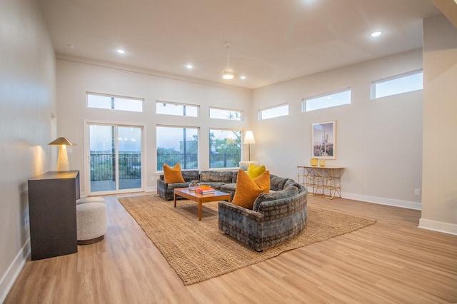 living room featuring a towering ceiling and light hardwood / wood-style floors