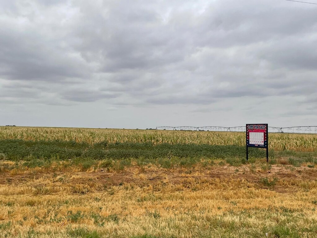 10709 Fm 2378, Shallowater, TX 79313 - photo 1