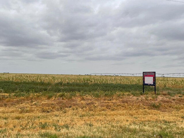 10709 Fm 2378, Shallowater, TX 79313 - photo 1