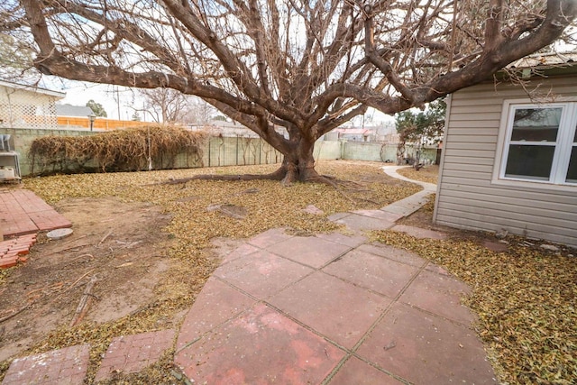 view of yard with a patio