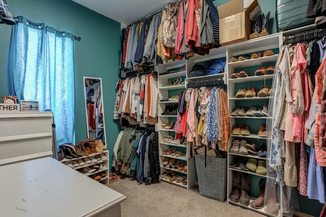 walk in closet featuring light colored carpet