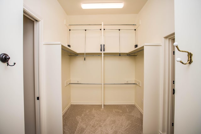 spacious closet featuring light colored carpet