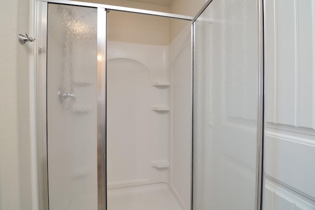 bathroom featuring a shower with shower door