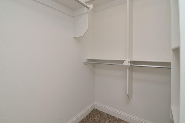 spacious closet featuring carpet flooring