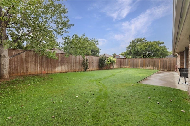 view of yard featuring a patio area