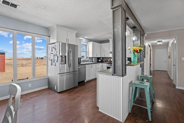 kitchen featuring tasteful backsplash, plenty of natural light, dark hardwood / wood-style floors, stainless steel appliances, and white cabinets