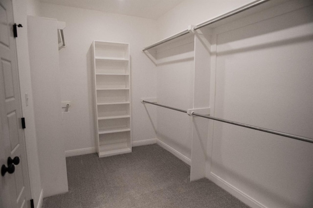 walk in closet with carpet floors