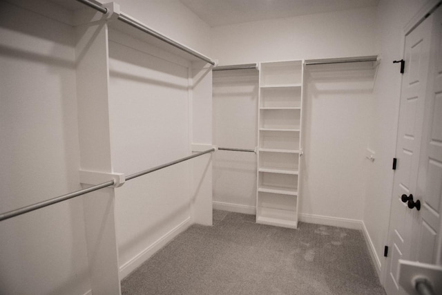 walk in closet featuring carpet