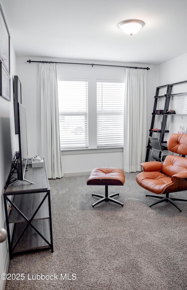 10517 Albany Ave, Lubbock, TX 79424 - sitting room featuring carpet and baseboards