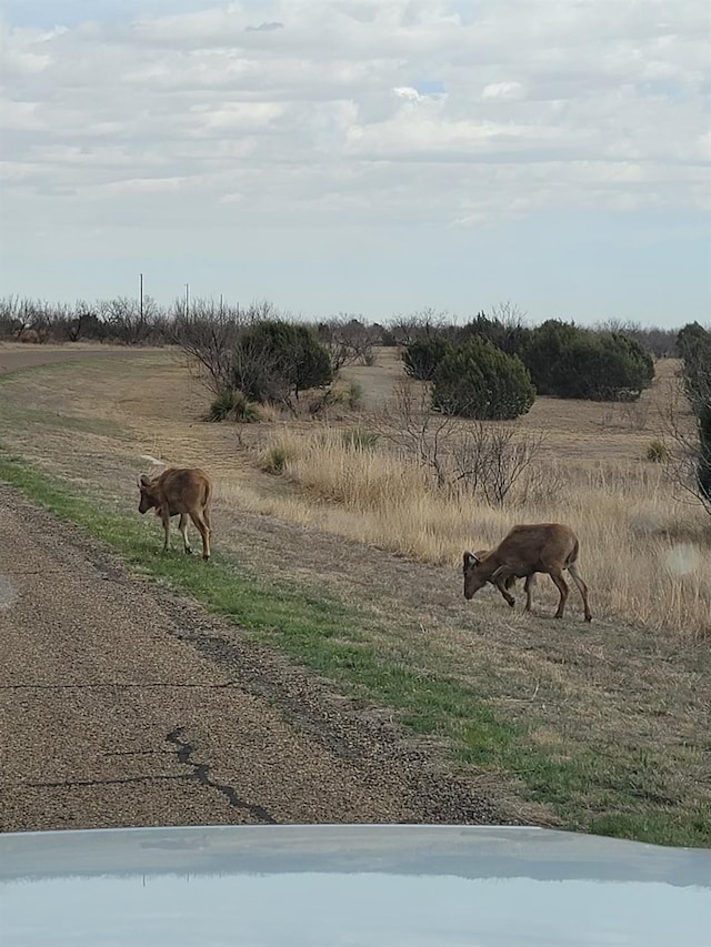 920 Canyon Pkwy, Canyon, TX 79015 - photo 3