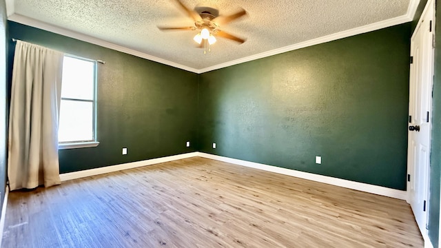 305 E 19th St, Wolfforth, TX 79382 - photo 12