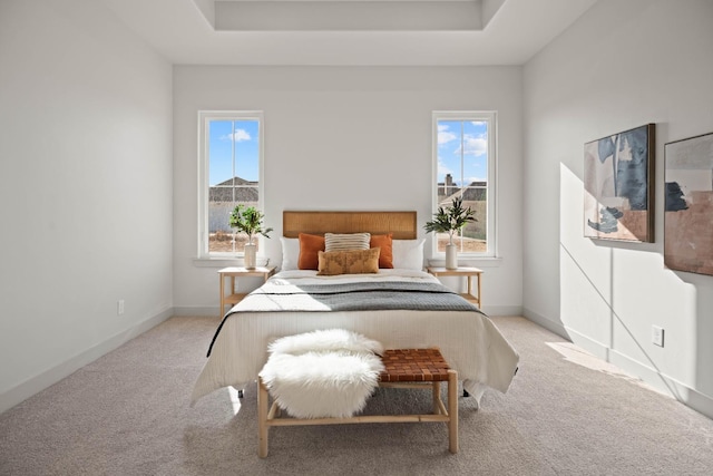 bedroom featuring light carpet and a raised ceiling