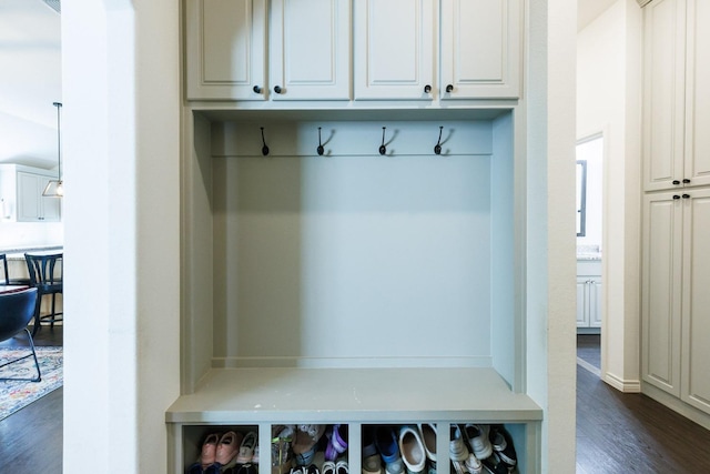 mudroom featuring dark hardwood / wood-style flooring