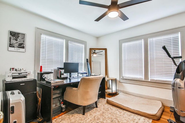 office featuring ceiling fan and hardwood / wood-style floors