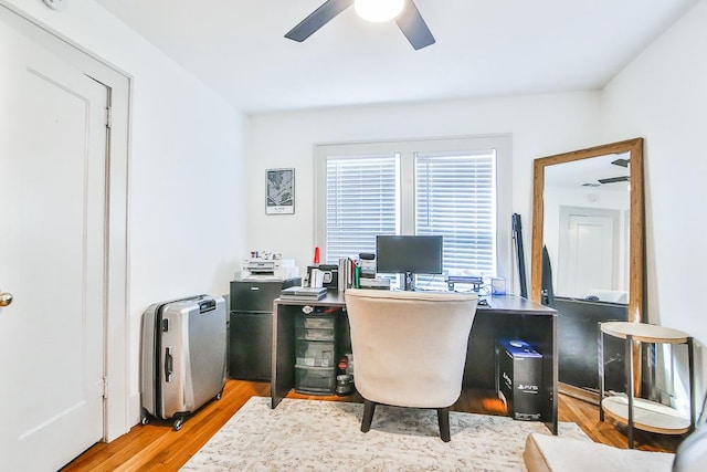 office featuring ceiling fan and light hardwood / wood-style floors