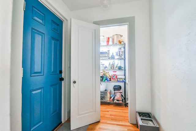 foyer entrance featuring hardwood / wood-style floors