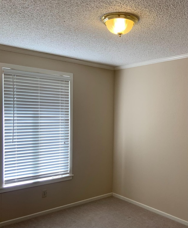 unfurnished room featuring ornamental molding, carpet, and a textured ceiling