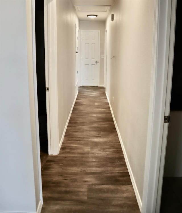 hallway with dark hardwood / wood-style flooring