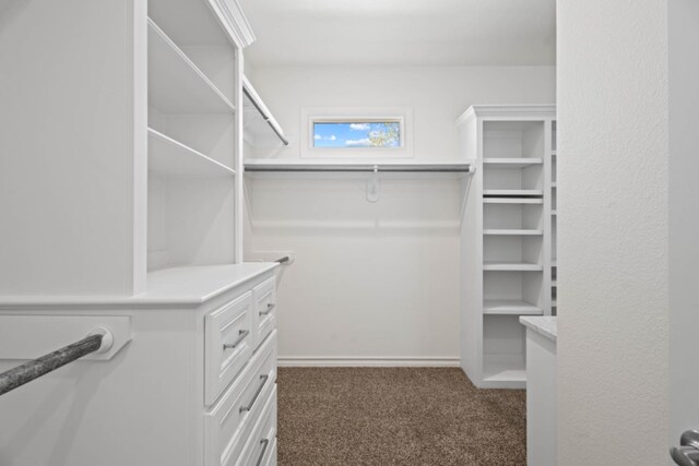 walk in closet with dark colored carpet