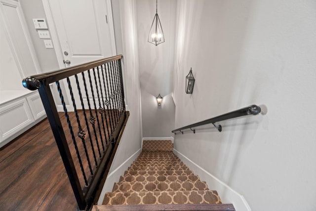 stairs with hardwood / wood-style floors