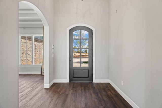 foyer with a wealth of natural light and dark hardwood / wood-style flooring