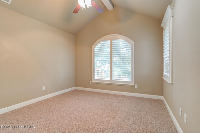 6302 76th St, Lubbock, TX 79424 - photo 48